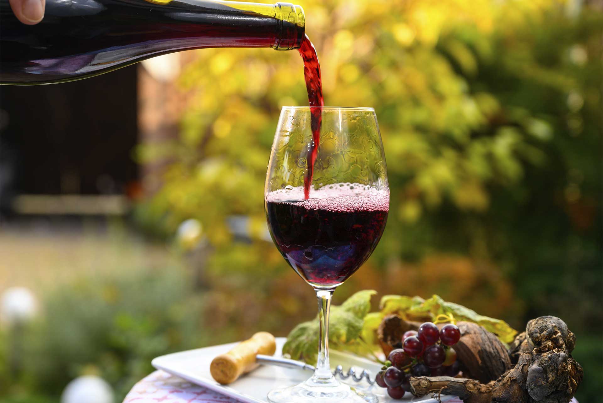 Menu « Beaujolais Nouveau »